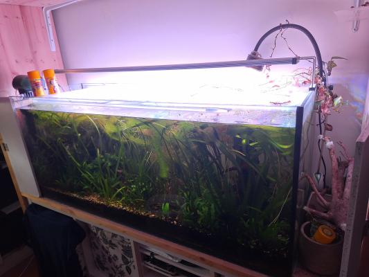 Aquarium / cuve nue 240 litres