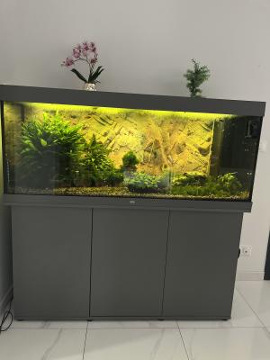 Vends Aquarium 450L tout équipé avec poissons plantes et deco