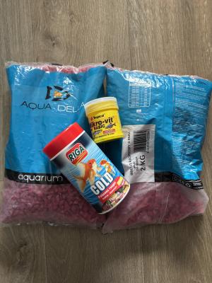 Aquarium 30L tout équipé + Vie aquatique (urgent)