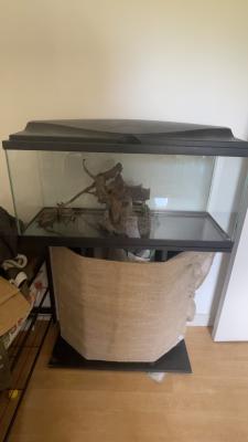 Aquarium 80 l avec son meuble