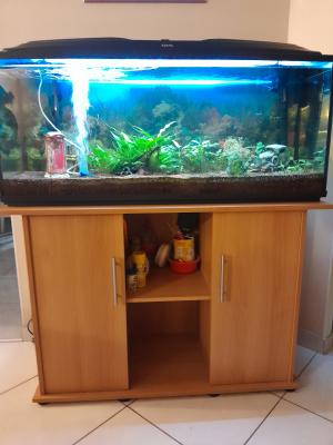 aquarium et son meuble