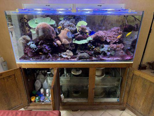 Aquarium eau de mer complet