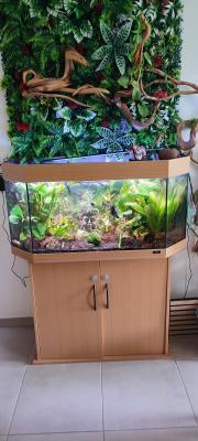 2 aquarium complet