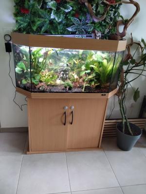 2 aquarium complet
