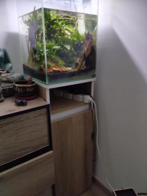 2 aquarium complet