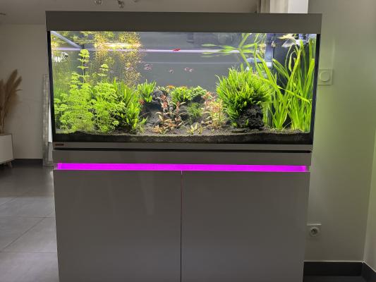 Aquarium EHEIM Incpiria 430 duo.