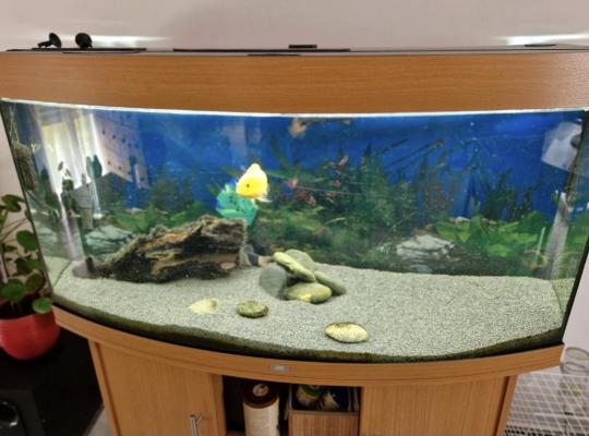 Aquarium + meuble