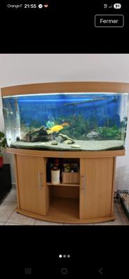 Aquarium + meuble