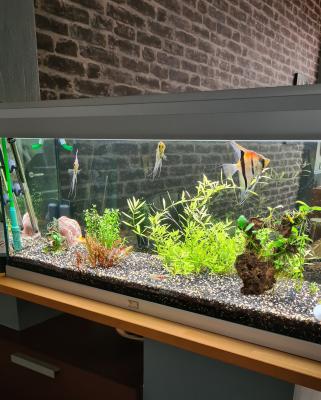 Aquarium aquatlantis