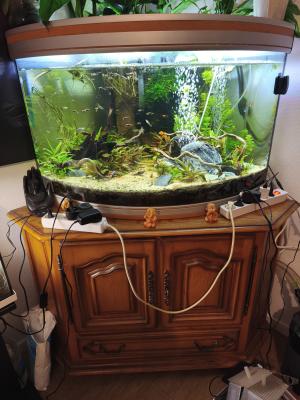Aquarium aquatlantis