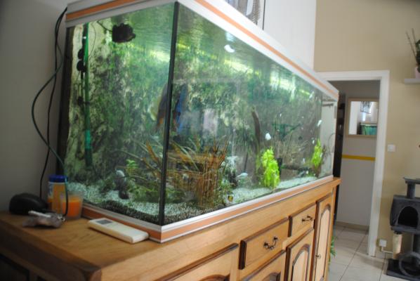 AQUARIUM 600L+MEUBLE COMPLET