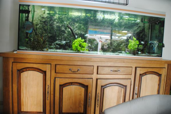 AQUARIUM 600L+MEUBLE COMPLET