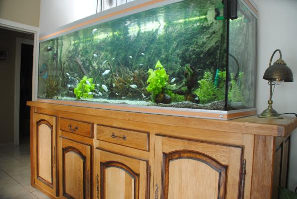 AQUARIUM 600L+MEUBLE COMPLET