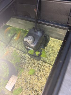 aquarium 450L