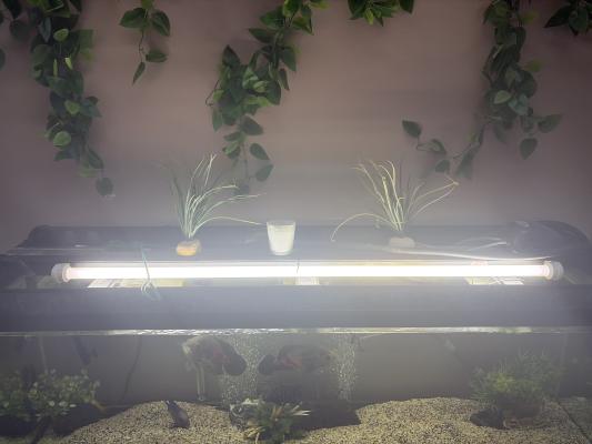 aquarium 450L