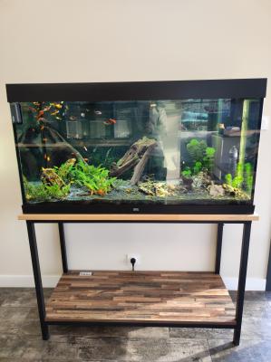 Aquarium JUWEL 360l