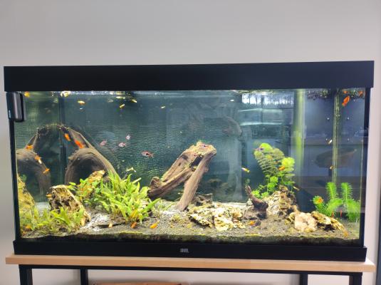 Aquarium JUWEL 360l