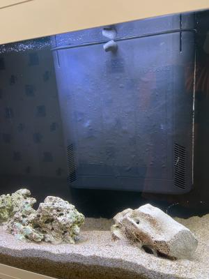 Aquarium Ciano blanc 240 litres et son meuble