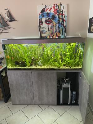 Aquarium