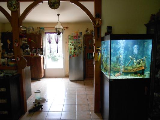 vente aquarium
