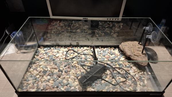 Aquarium jamais utilisé