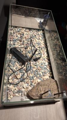Aquarium jamais utilisé