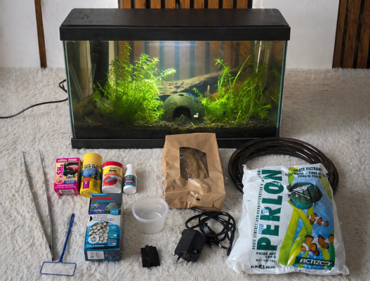 Aquarium 17l tout équipé crevettes escargots