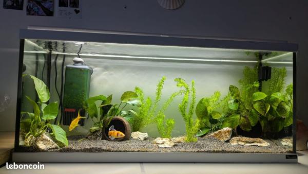 Aquarium 80 litres