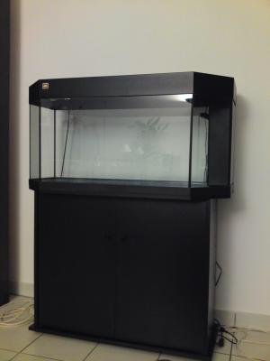 Aquarium Juwel 170L + meuble + décor + accessoires