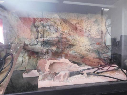Aquarium Juwel 170L + meuble + décor + accessoires
