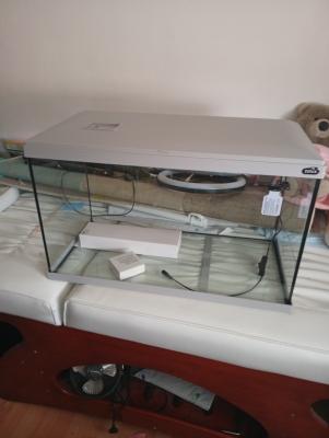 aquarium