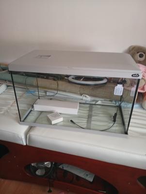 aquarium