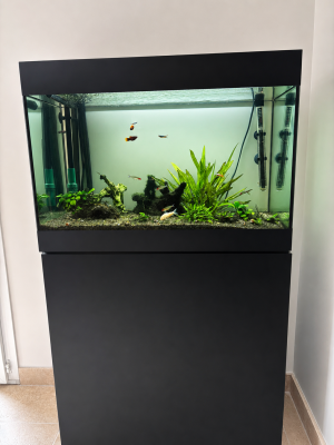 Oase 120litres avec meuble et pompe EHEIM pro4+
