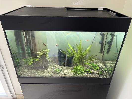 Oase 120litres avec meuble et pompe EHEIM pro4+