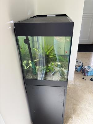 Oase 120litres avec meuble et pompe EHEIM pro4+