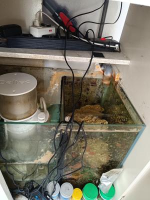Aquarium marin