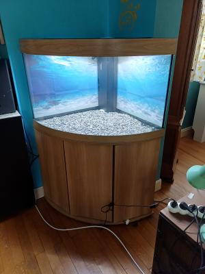 Aquarium Juvel et son meuble neuf