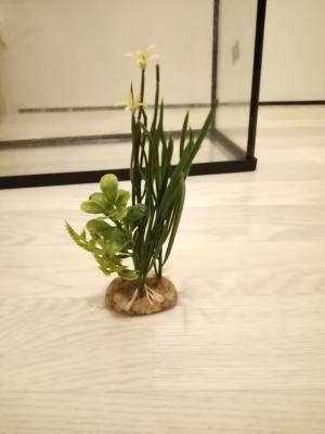 Plante plastique et gravier