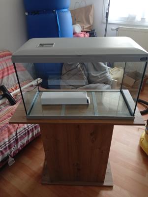 aquarium