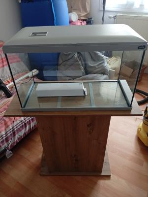 aquarium
