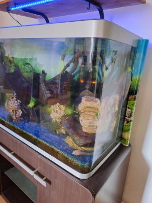 aquarium complet eau douce et chauffée