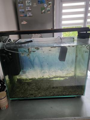 Aquarium 150l complet