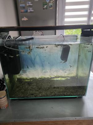 Aquarium 150l complet