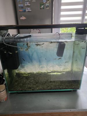 Aquarium 150l complet