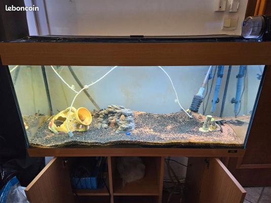 Aquarium 160–200 L complet avec meuble + matériel (fonctionnel)