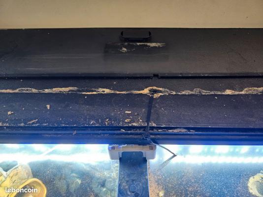 Aquarium 160–200 L complet avec meuble + matériel (fonctionnel)