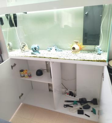 Aquarium et meuble ciano
