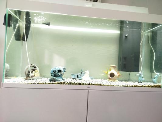 Aquarium et meuble ciano