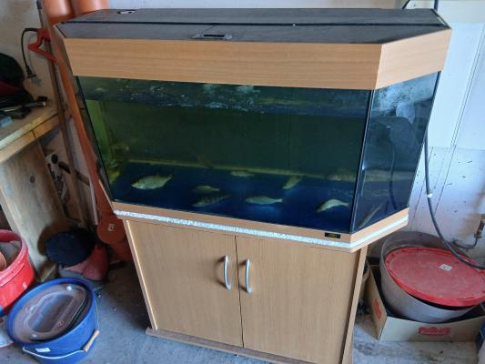 Aquarium 180l avec equipement