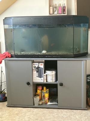 Vend aquarium